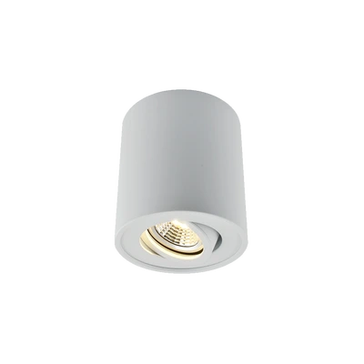 Green Tech Nadgradna svjetiljka, grlo GU10 Aluminij Bijela