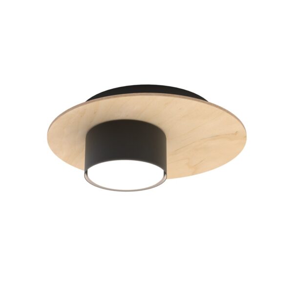 Emibig Stropna svjetiljka PIXO 230 V 12W MAX LED GX53 Čelik/ Šperploča Crna
